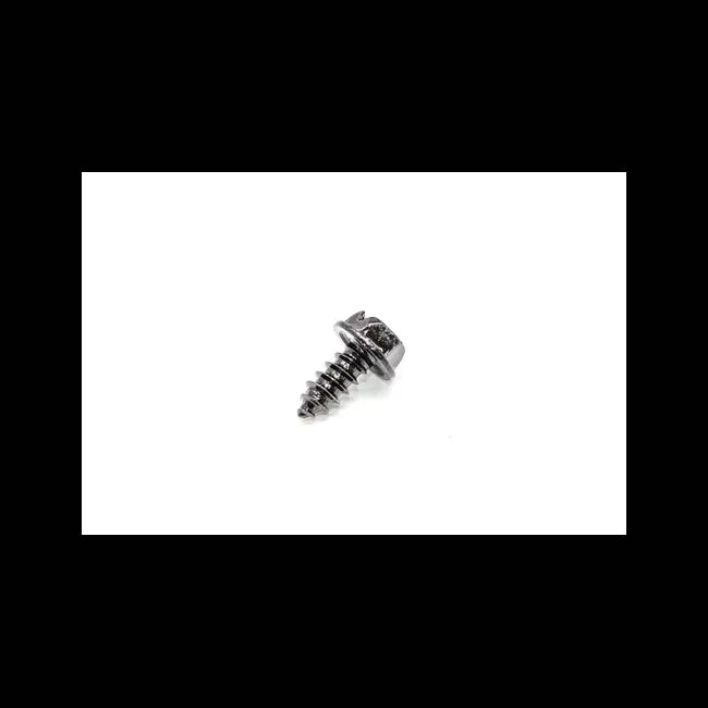 SCREW, 6677119